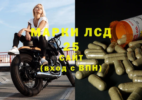 крисы Баксан
