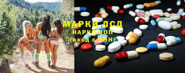 крисы Баксан