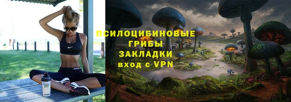 крисы Баксан